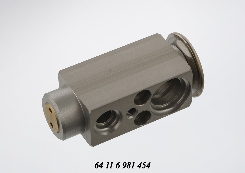 BMW E53 X5 3.0d - M57 - Air Conditioning: Expansion Valve - BMW E53 X5 ...
